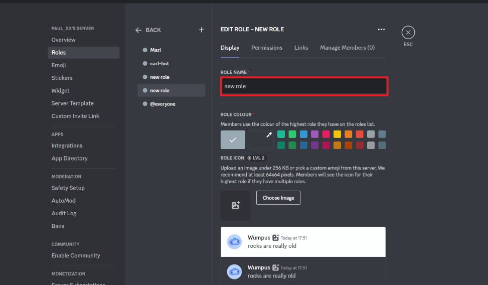Type in the role name in the Role Name text field