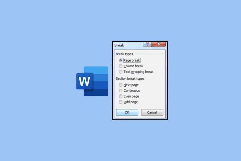 What is Page Break in Microsoft Word?