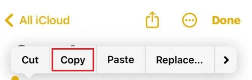 Copy the text you underlined