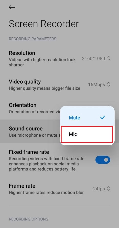 Select the Mic option