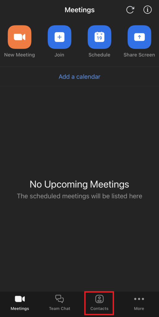 How to Unmute on Zoom Phone Call TechCult