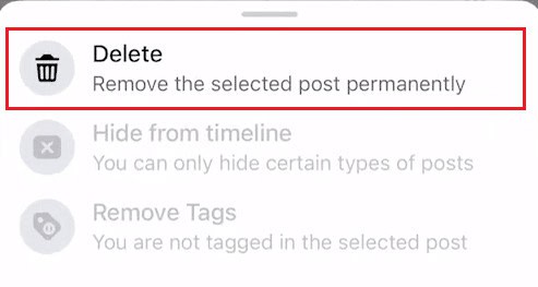 Tap on Delete to get rid of the desired check in