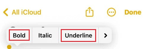 Tap on the Bold or Underline option