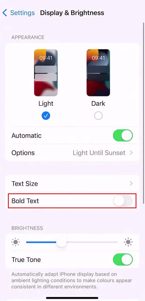 Turn on the toggle for the Bold Text option | How to Underline Text on iPhone
