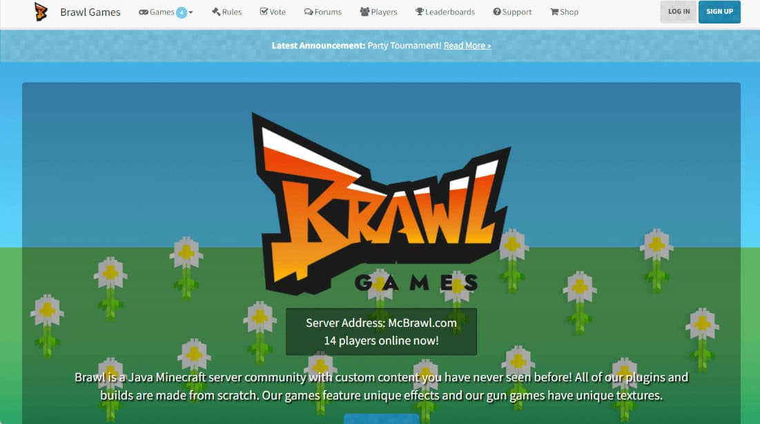 Brawl
