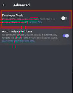 Check the box next to Developer Mode | How to View Discord Profile