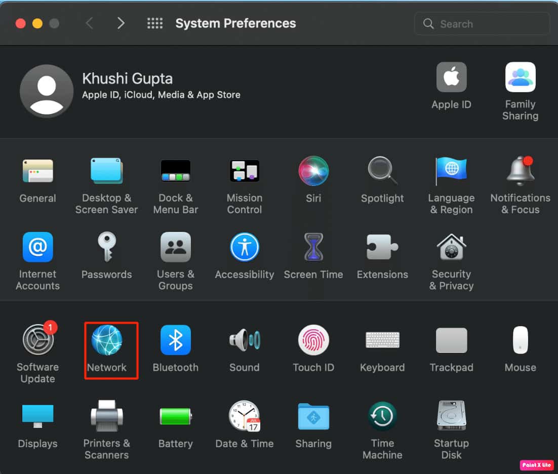 launch system preferences and click on network