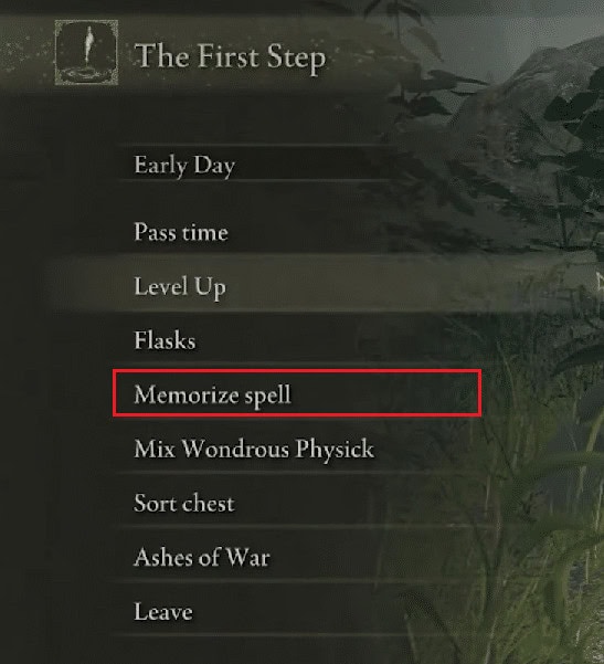select the Memorize spell option from the menu