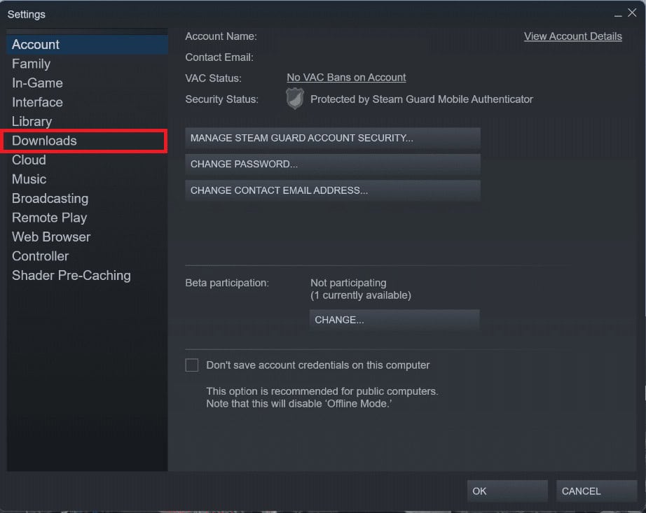 select the Downloads tab