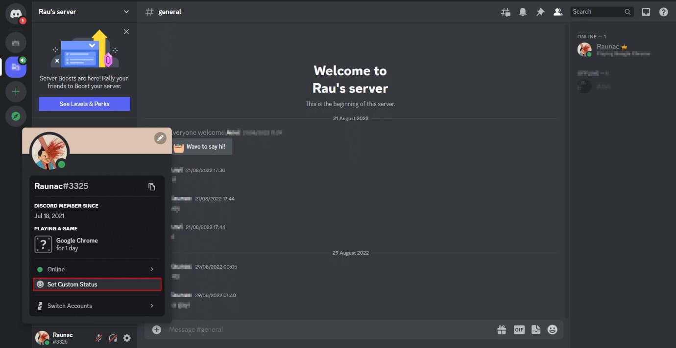 Set Custom status option on Discord pc