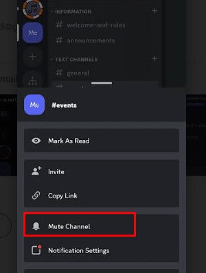 Tap on Mute channel option