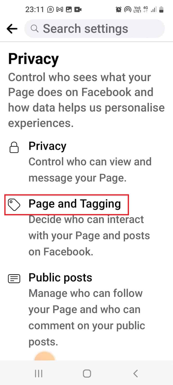 Tap on the Page and Tagging option in the Privacy section