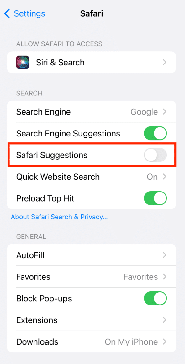 Toggle Off Safari Suggestions | how to remove top hits from Safari iPhone