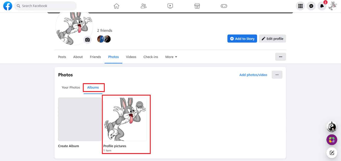 Under the Albums section, click on Profile pictures