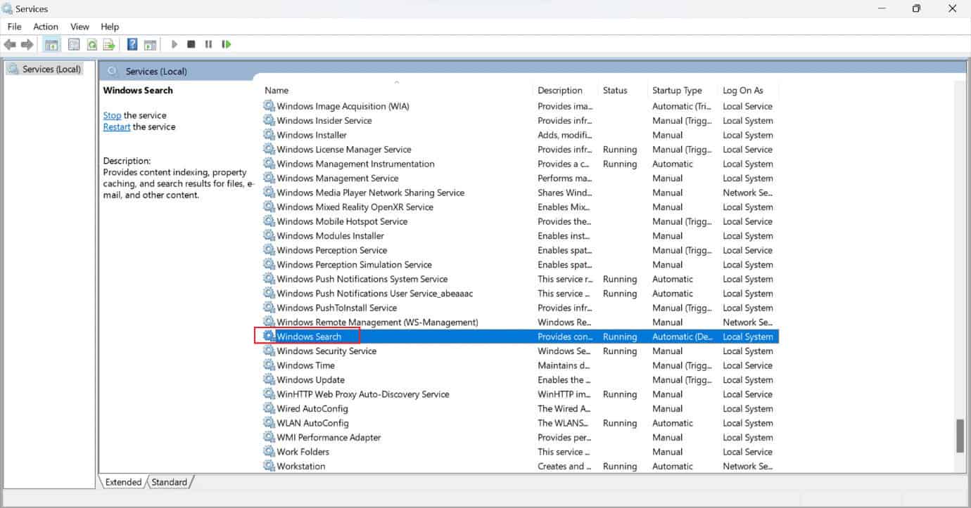 windows search