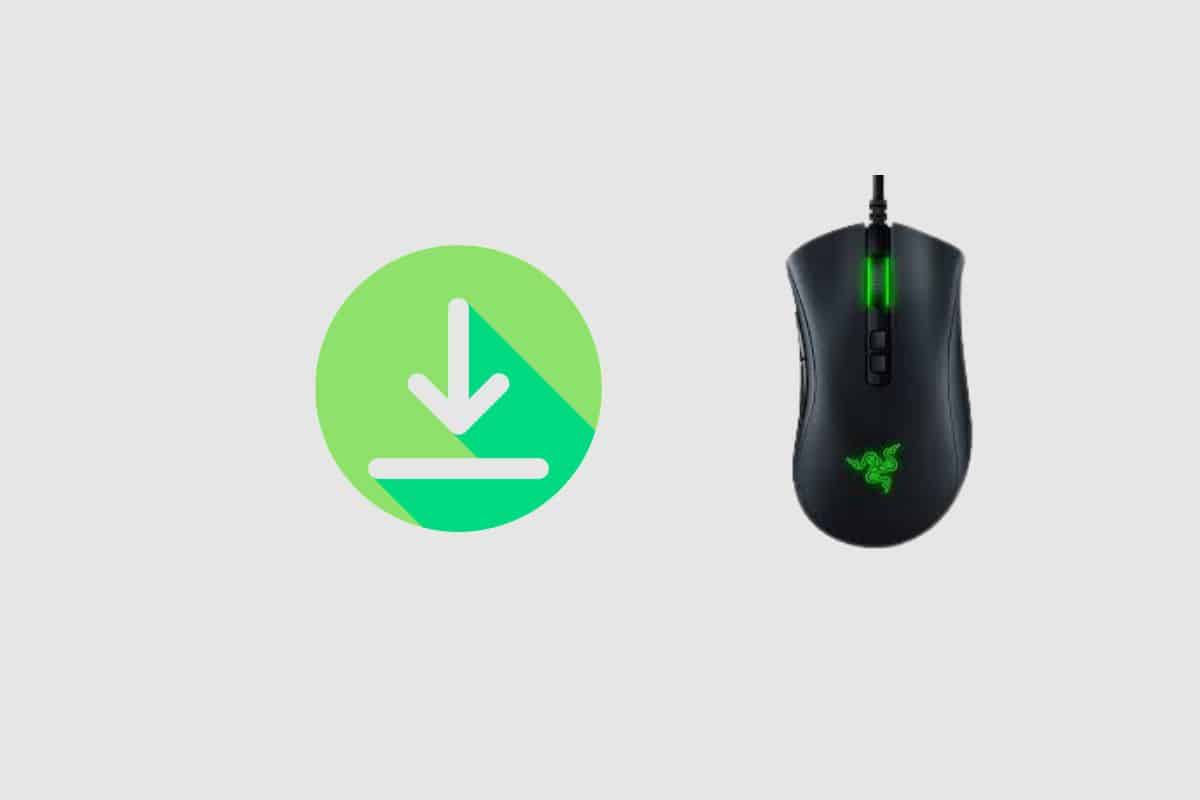 To Download Razer Deathadder Driver On Windows 10 Step By Step Guide