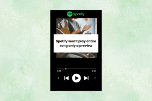 How to Fix Spotify Only Playing Previews – TechCult