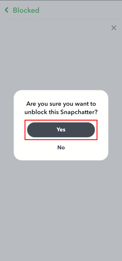 What Happens When You Unblock Someone on Snapchat? – TechCult