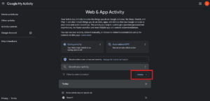 How Do I Delete My Activity on Google – TechCult
