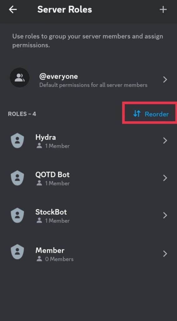 How to Separate Roles in Discord – TechCult