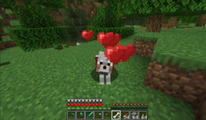 How to Tame and Attract Animals in Minecraft: Sheep, Horses, Pigs, and