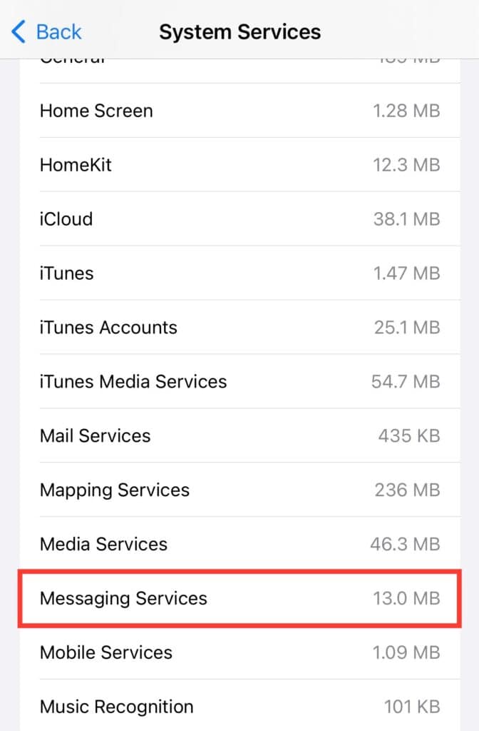 Do iMessages Show Up on the Phone Bill? TechCult