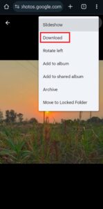 How to View Backup Photos in Google Photos – TechCult