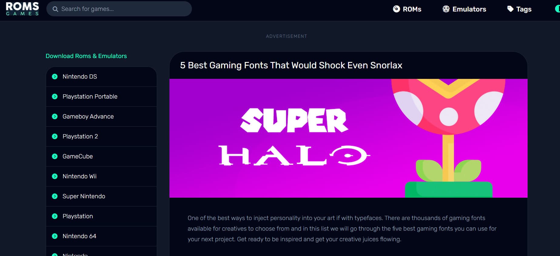  ROMs Games