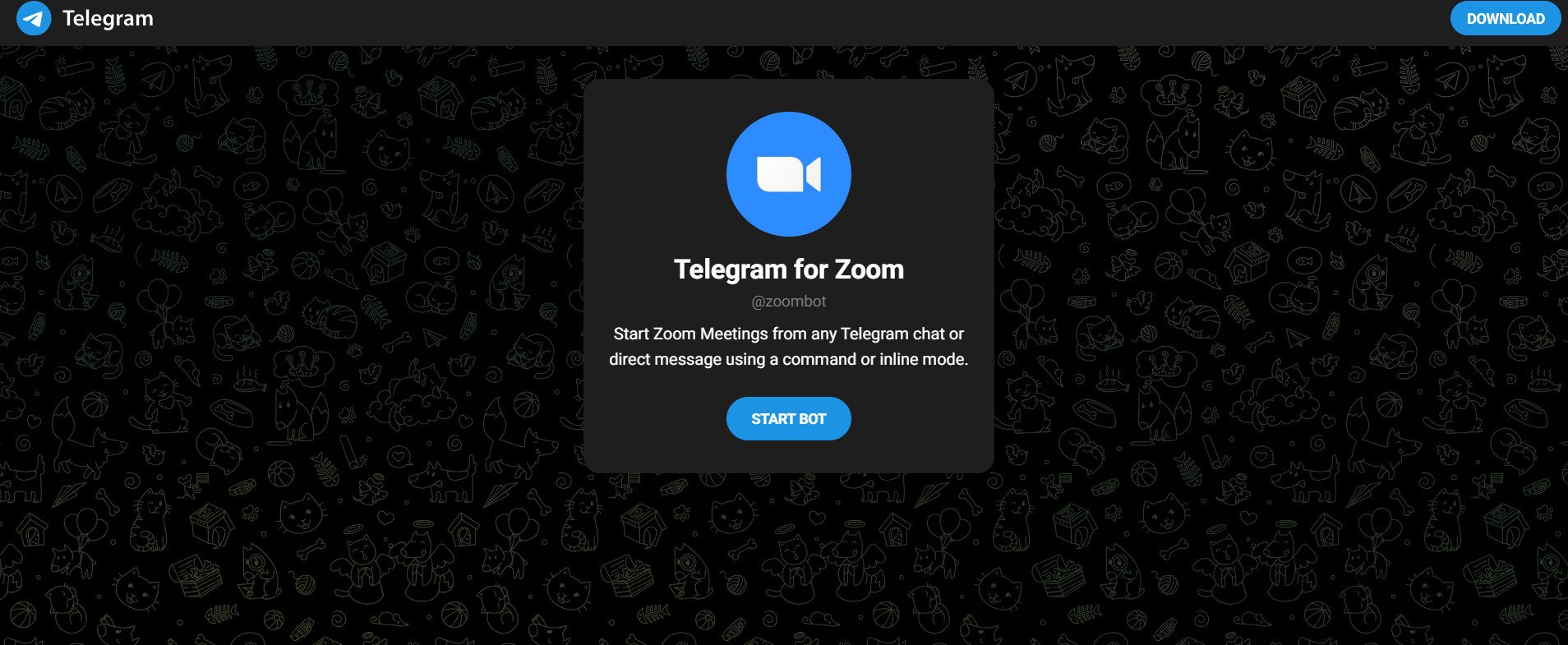 Zoom Bot