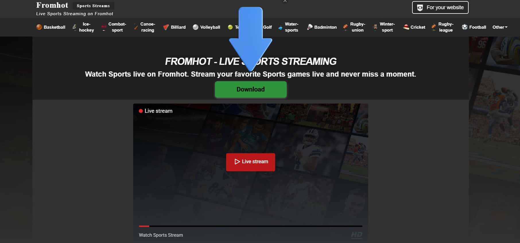 FromHot | Best StreamEast Alternatives