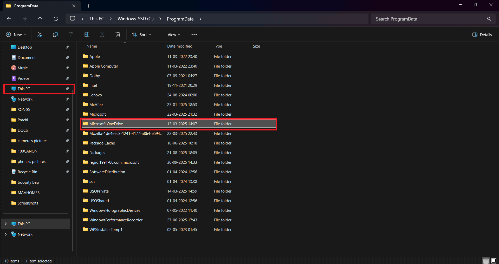 Select the Microsoft OneDrive folder 