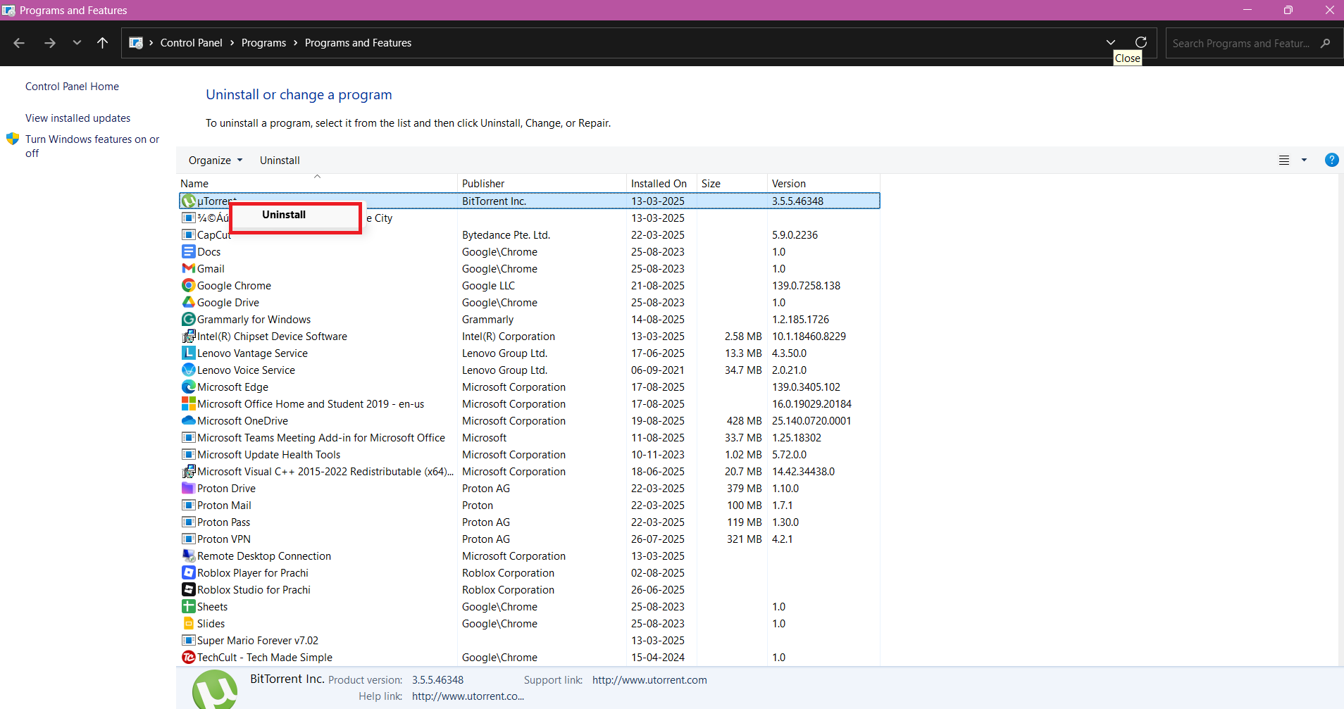select Uninstall | Fix Horizontal or Vertical Green Line on Laptop Screen
