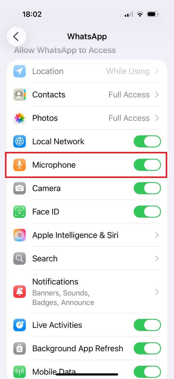 turn the toggle on for Microphone