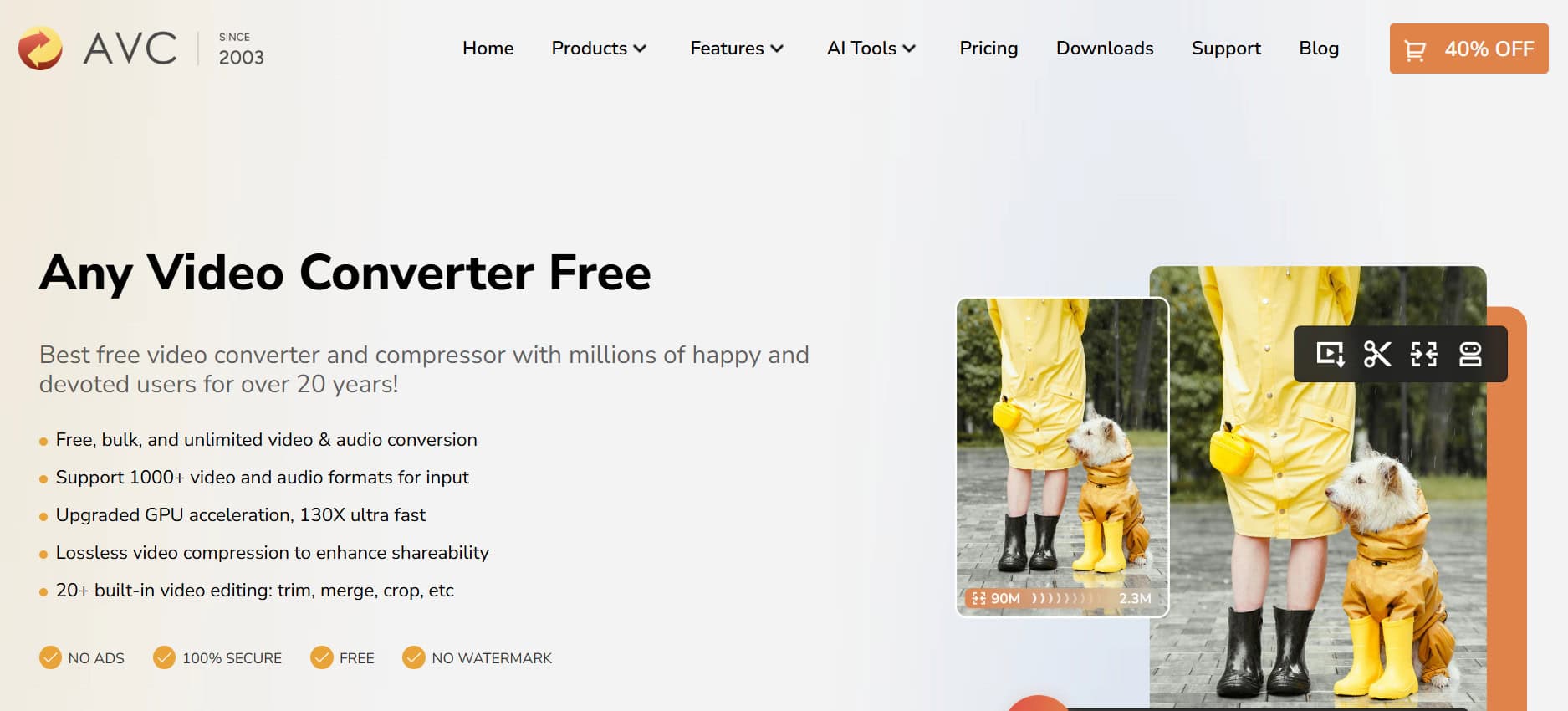 Any Video Converter | Best YouTube to MP4 Converter for Windows/Mac