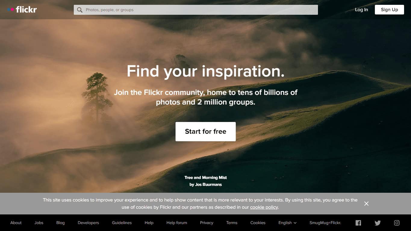 Flickr | Yandex Reverse Image Search