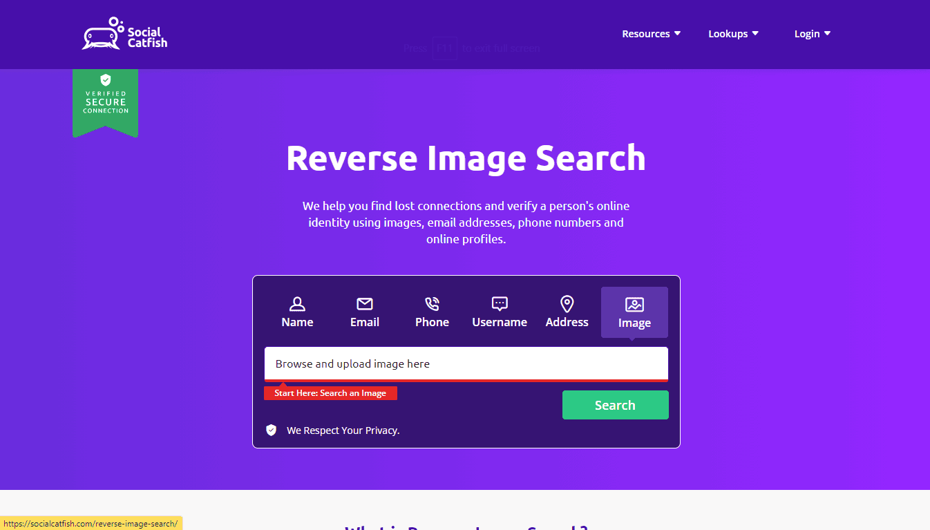 Social catfish Reverse Image Search