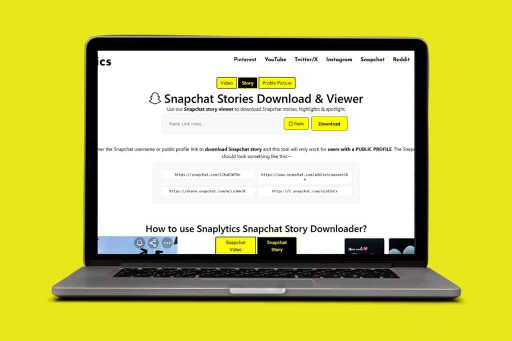 Best Snapchat Story Viewer
