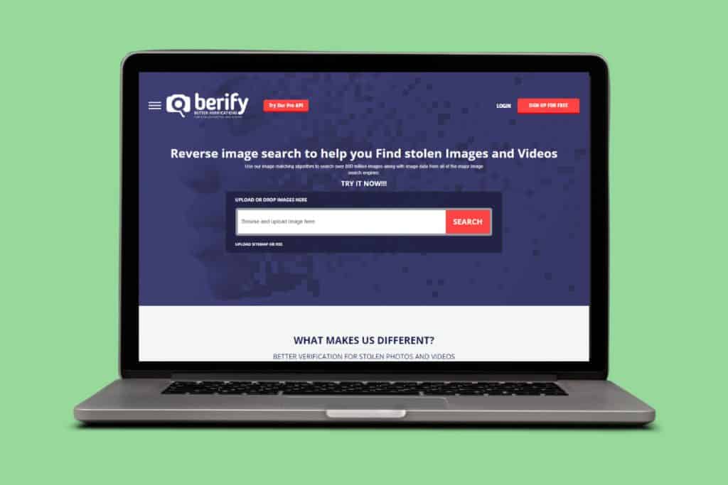 Best TinEye Alternative